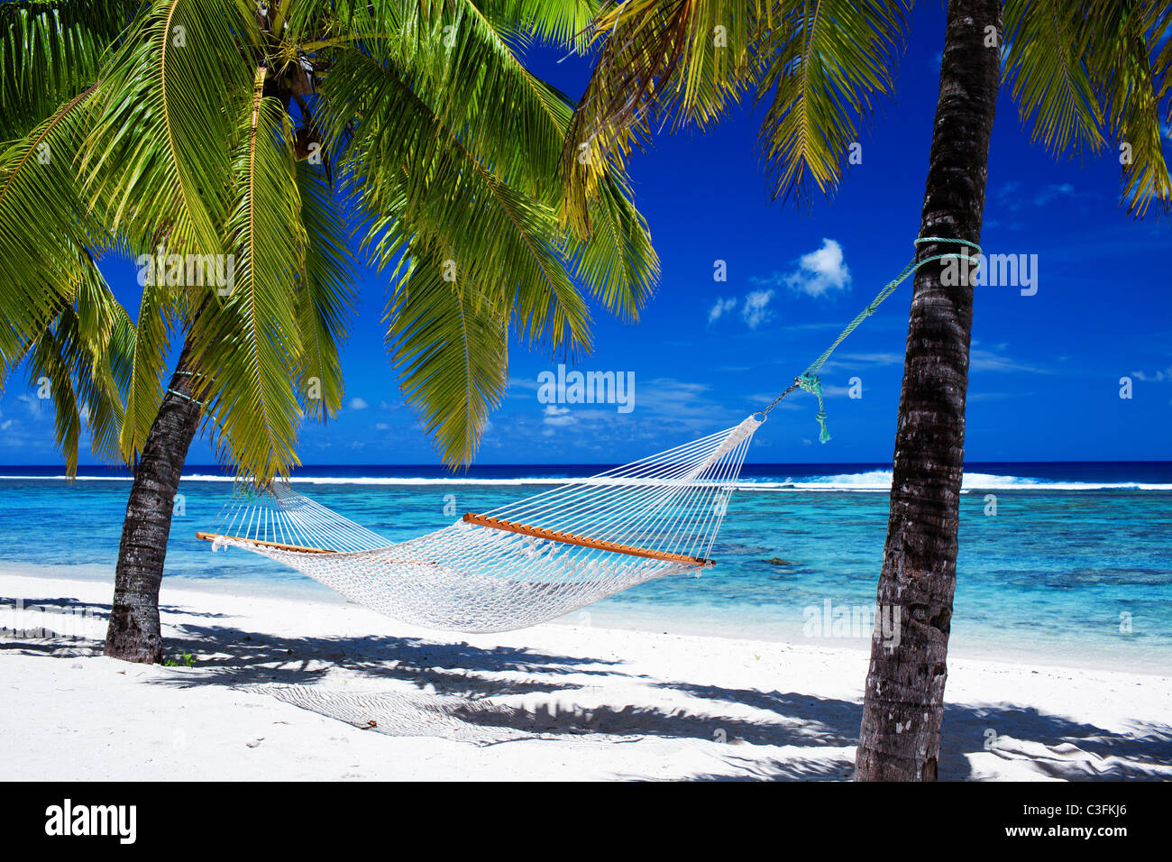 Hamac vide entre palmiers on tropical beach Banque D'Images