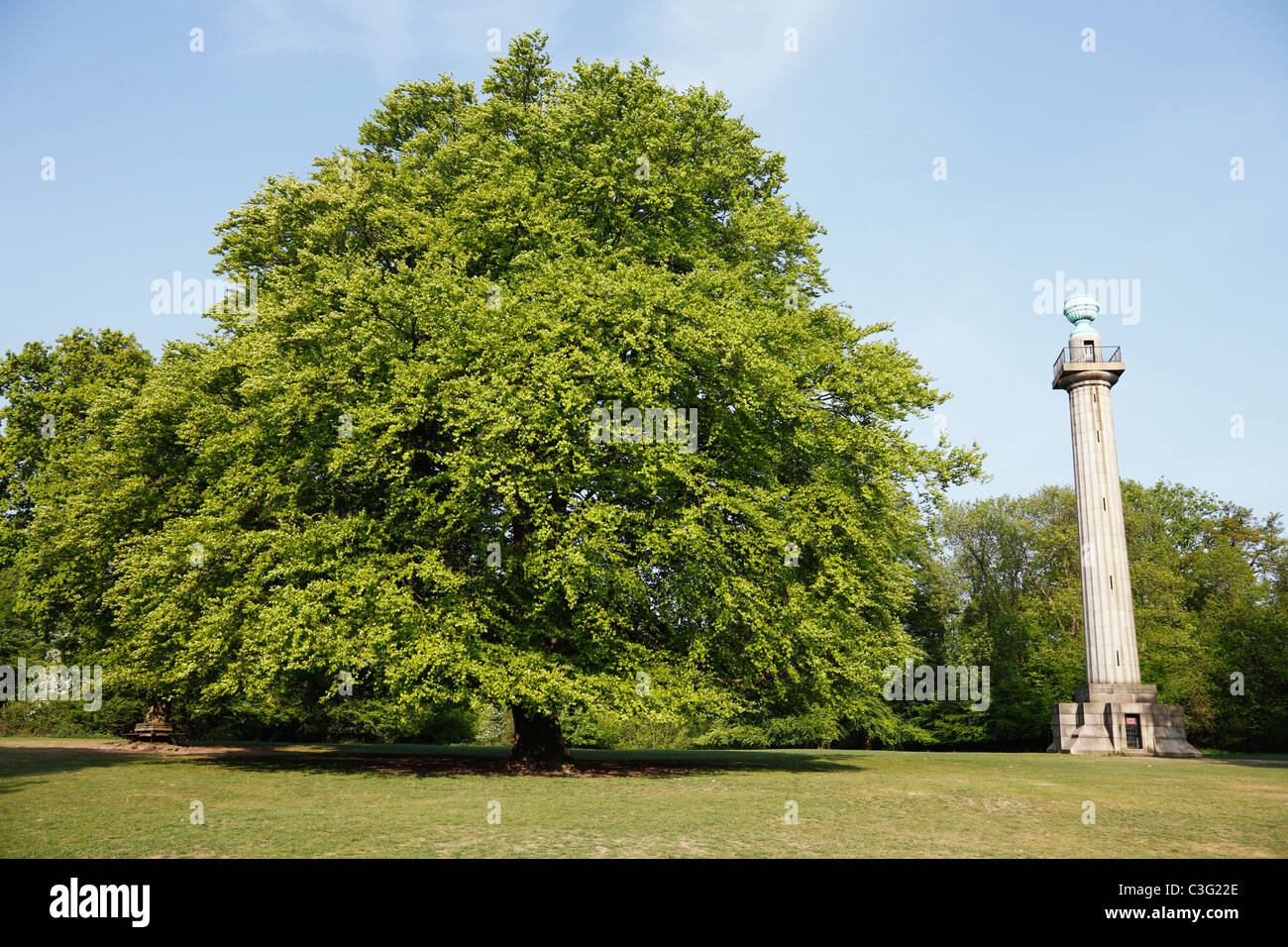 Arbre d'été et "monument", Bridgewater [Ashridge Estate], Hertfordshire, England, UK Banque D'Images