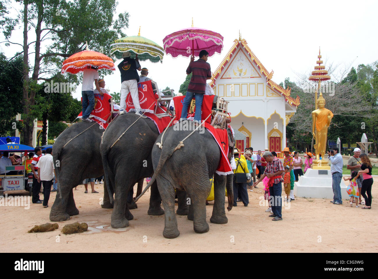 La Thaïlande, destination de vacances pour des températures tropicales, de l'alimentation, des mers et des personnes. Pour l'équitation de l'éléphant d'Asie festival religieux Banque D'Images