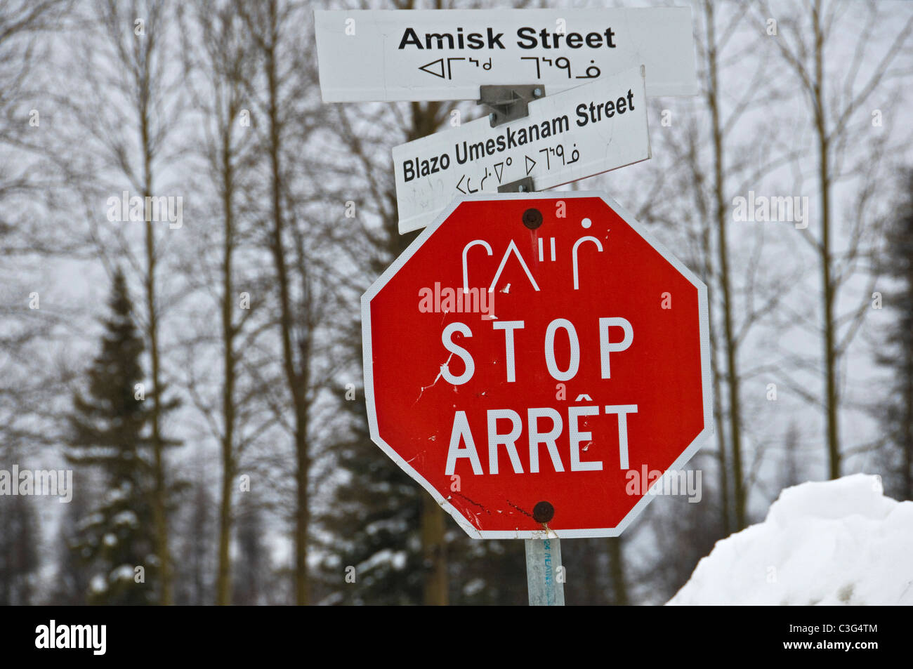 Panneau d'arrêt en langues française, anglaise et crie dans la communauté crie de Mistissini, le Nord du Québec, Canada Banque D'Images