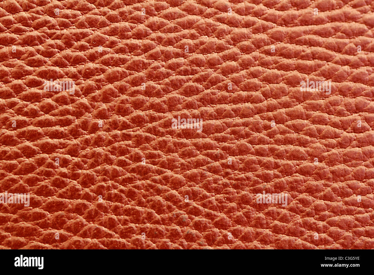 La texture de cuir brun closeup détail macro Banque D'Images