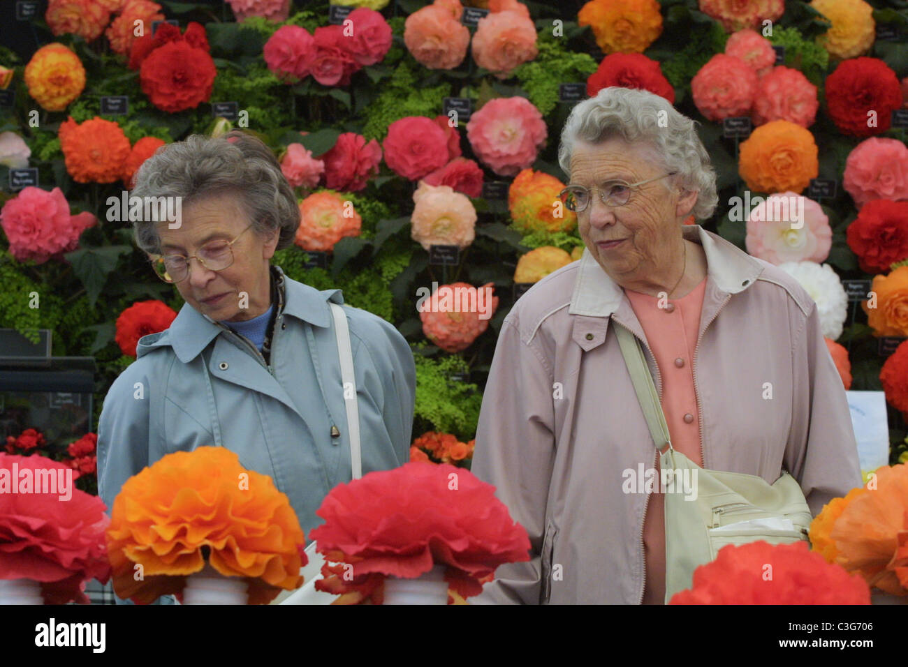 Les visiteurs admirer les fleurs à Ayr, Ayr voir jardinage de fleur, de l'Écosse. Banque D'Images
