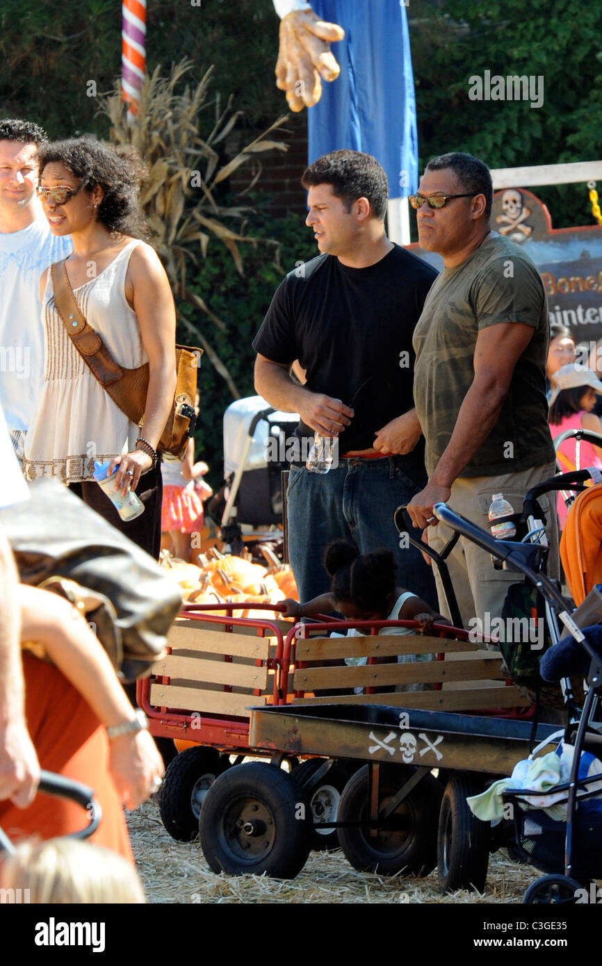 Laurence Fishburne et Gina Torres shopping à la citrouille. West Hollywood, Californie - 17.10.09 Banque D'Images