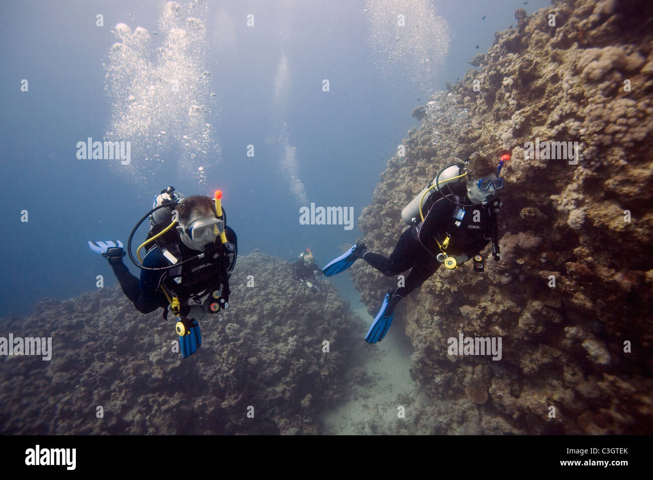 Trois plongeurs passent une grande formation de coraux dans la mer Rouge, Hurghada, Egypte. Banque D'Images
