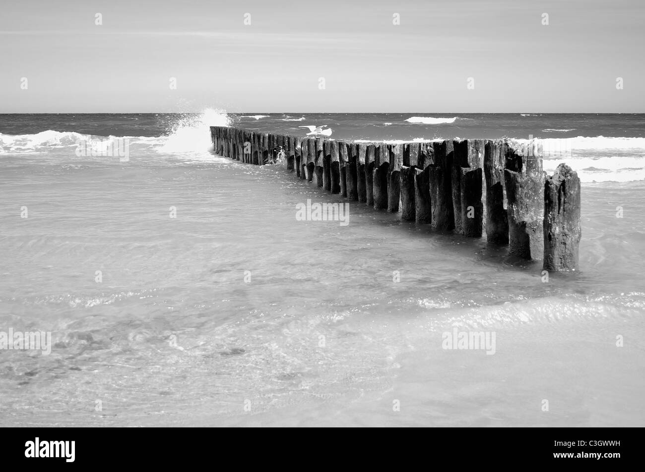 Sable, plage, mer, ciel... Mer Baltique Banque D'Images