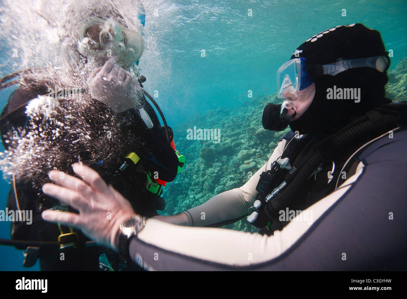 Un plongeur en détresse avec un régulateur est aidé par son copain. Mer Rouge, Dahab, Egypte Banque D'Images