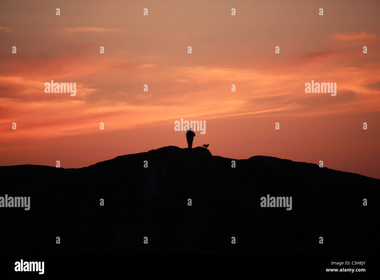 Entwined couple et leur chien sur une colline silhouetted against a sunset Banque D'Images