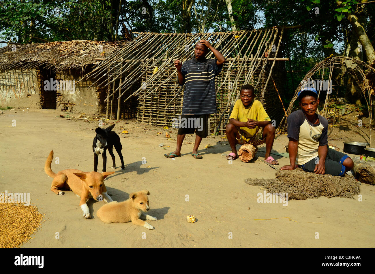 Les Pygmées Mbuti nomades vivent dans la jungle de l'Ituri le bassin du Congo en République démocratique du Congo. Certains s'installer près des villes. Banque D'Images