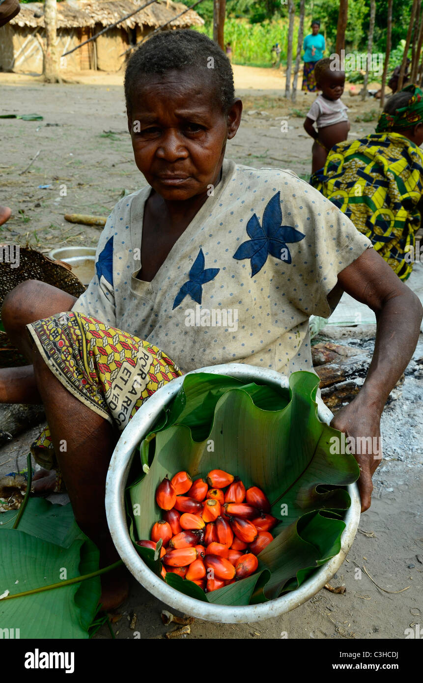 Les Pygmées Mbuti nomades vivent dans la jungle de l'Ituri le bassin du Congo en République démocratique du Congo. Certains s'installer près des villes. Banque D'Images