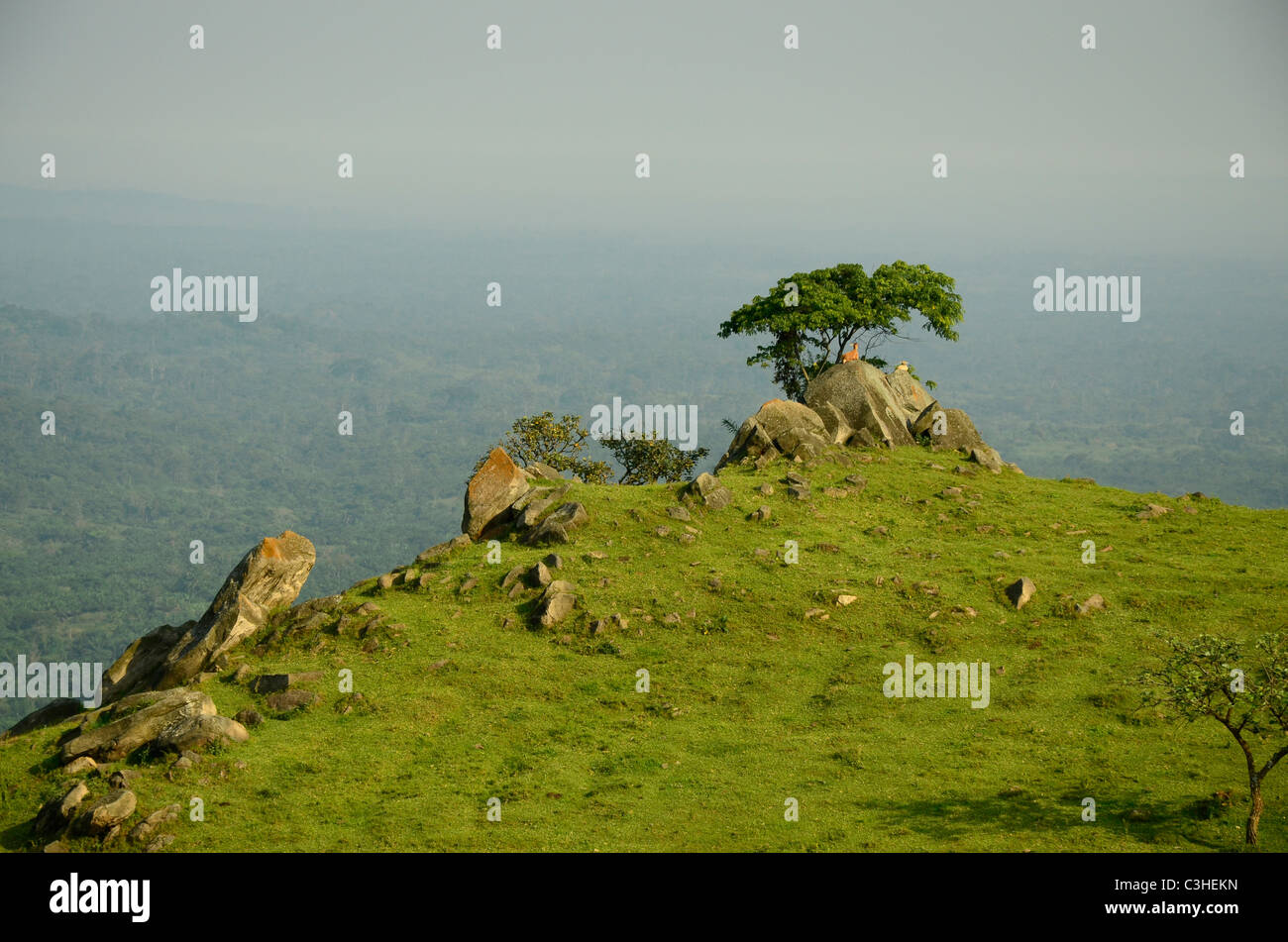 Foresta pluviale di ituri Banque de photographies et d’images à haute ...
