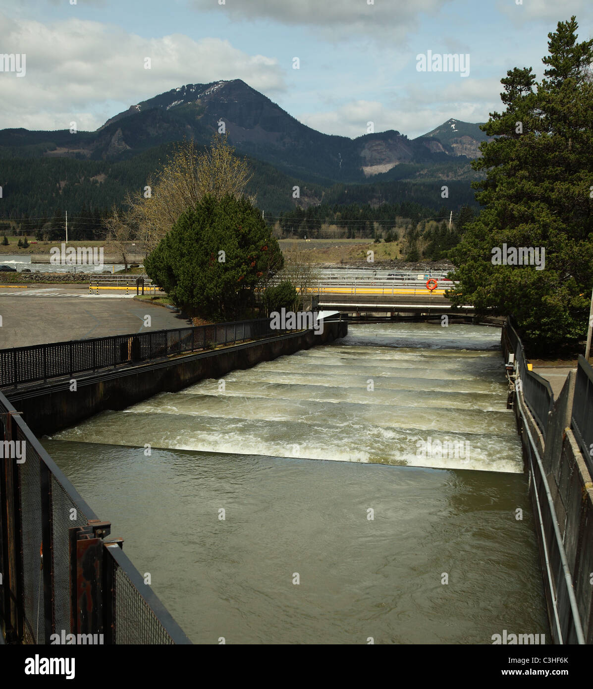 Les échelles à poissons au barrage de Bonneville sur le fleuve Columbia, conçu pour aider les poissons s'en amont des barrages par l'homme Banque D'Images