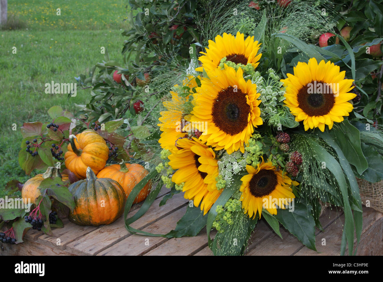 Fruits la récolte d'automne avec des tournesols et des citrouilles encore Banque D'Images