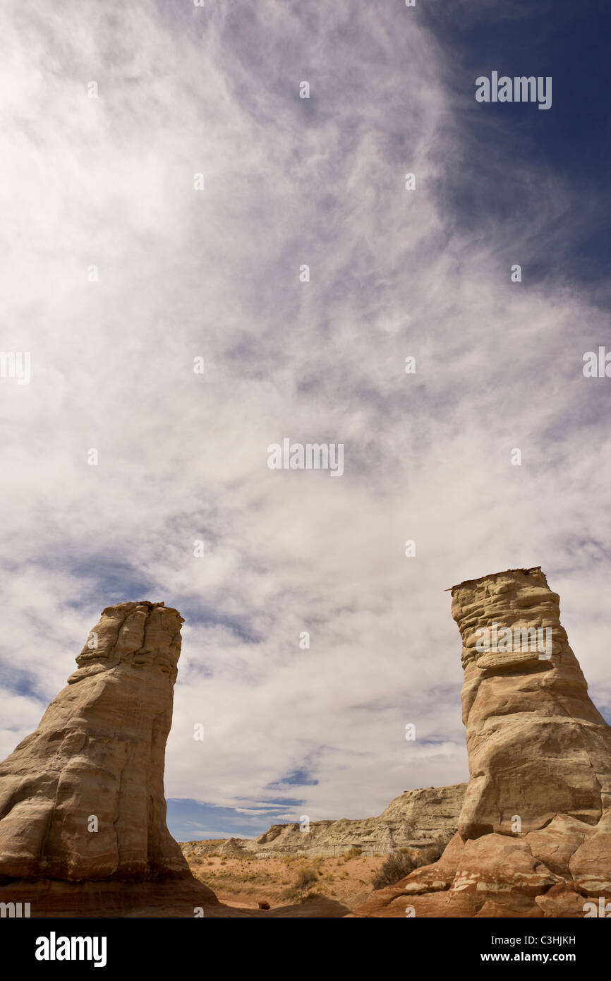 Pieds d'éléphants piliers, une formation rocheuse naturelle près de Monument Valley dans le Nord de l'Arizona, USA. Banque D'Images