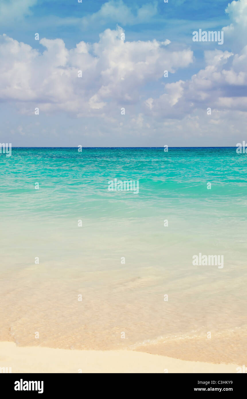 Paysage marin Banque D'Images