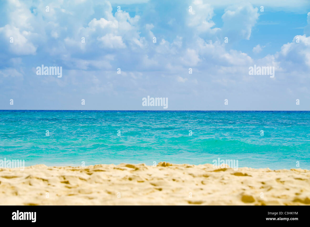 Paysage marin Banque D'Images