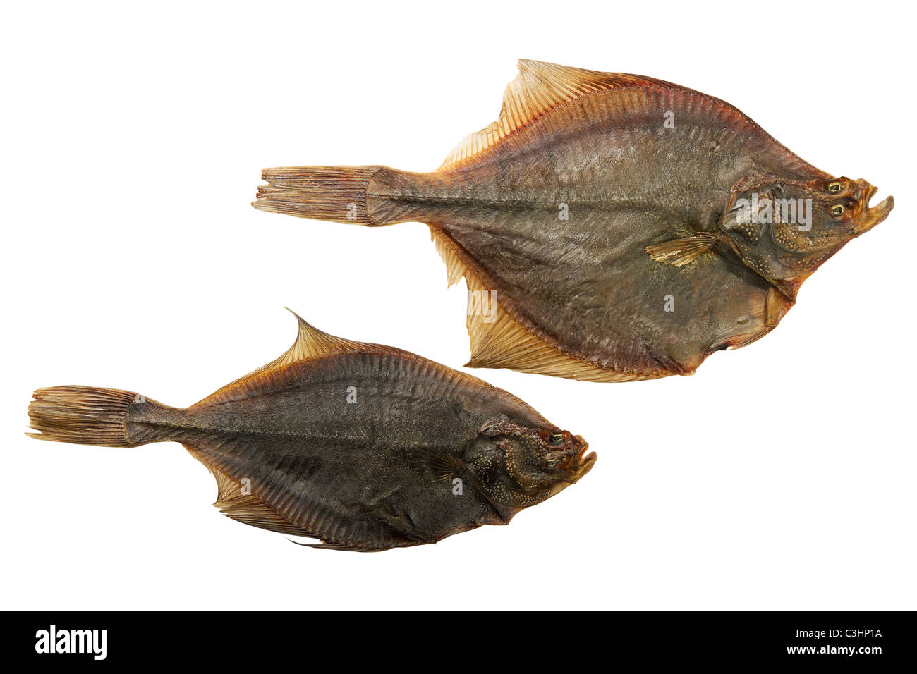 Le poisson séché isolé sur fond blanc Banque D'Images