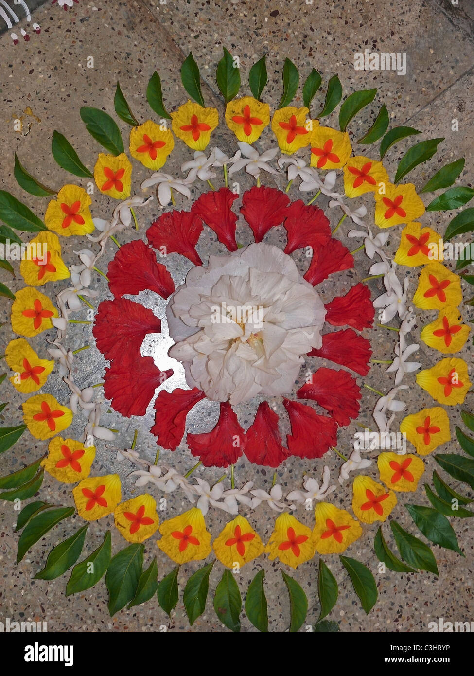 Athapookalam, Flower Design pendant Onam Festival, Kerala, Inde Banque D'Images