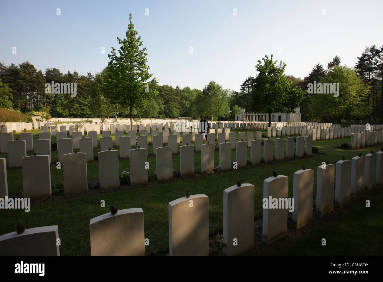 Bataille de bois polygone Banque de photographies et d’images à haute