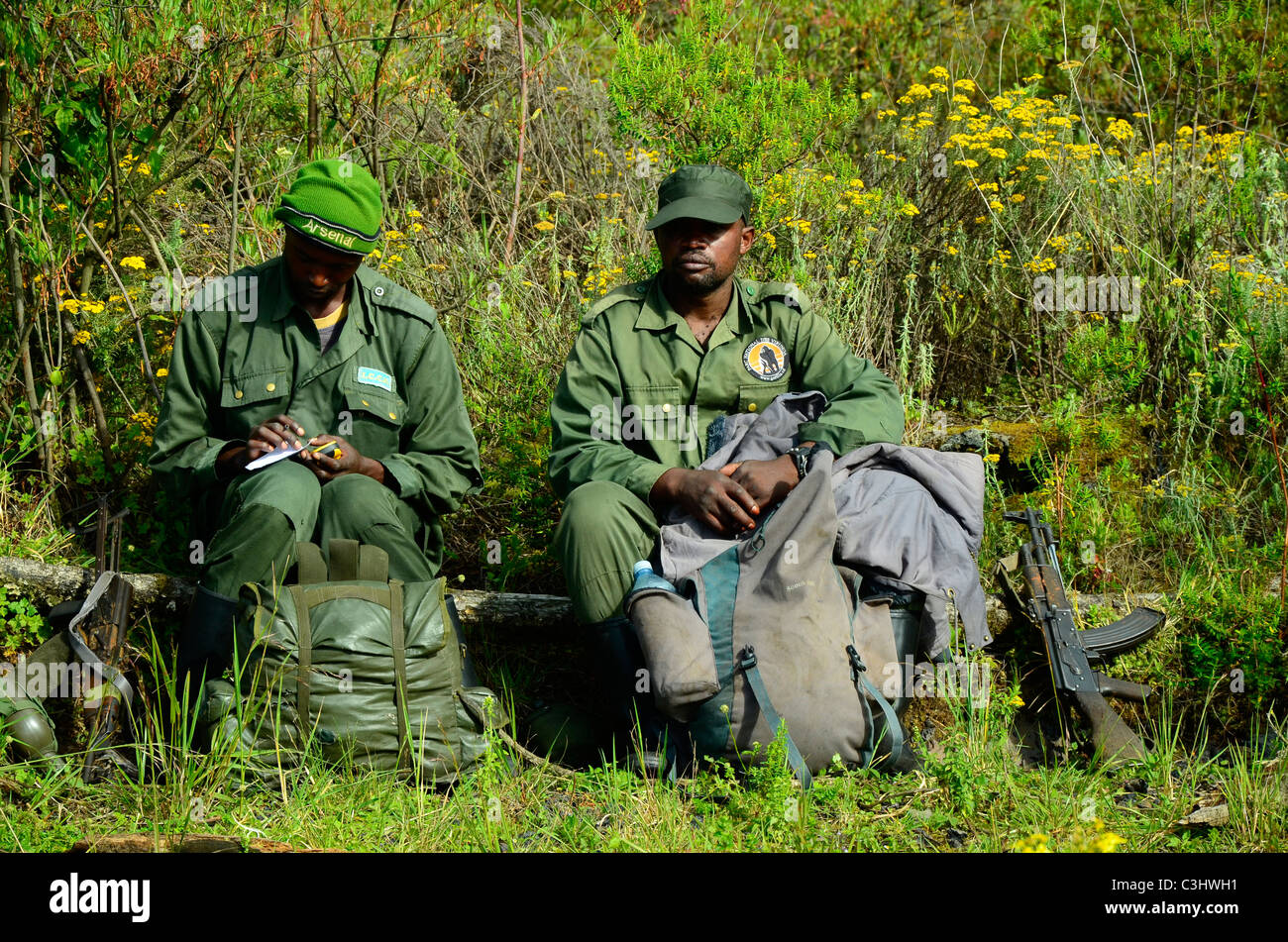 Les directeurs d'établissement reste sur la montée de Nyiragongo Mt dans le Parc National des Virunga, l'est de la République démocratique du Congo, l'Afrique centrale. Banque D'Images