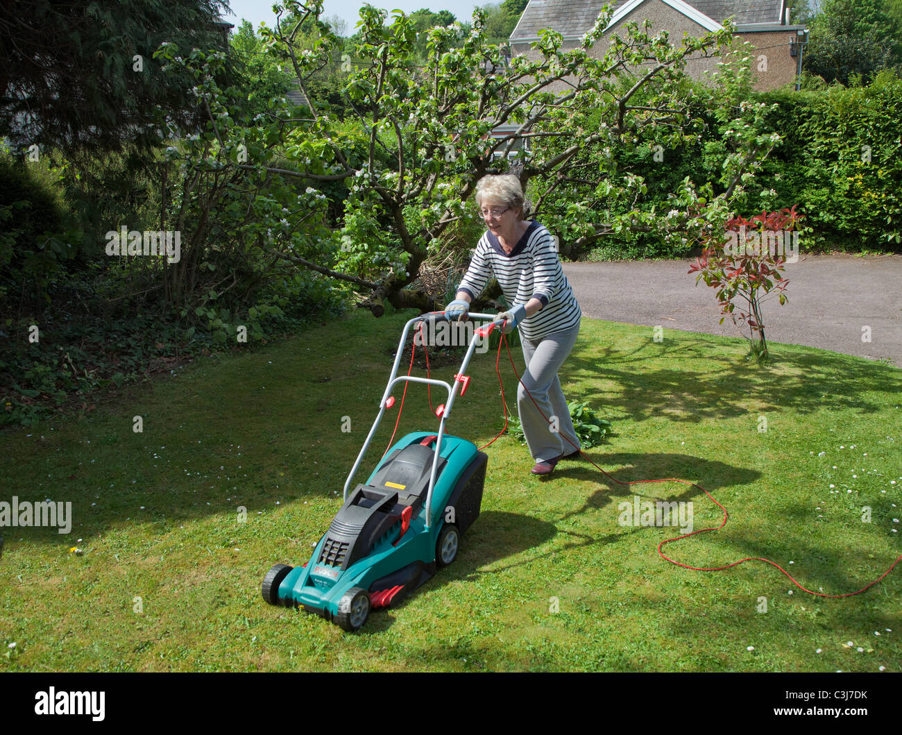 Femme plus âgée la pelouse avec une tondeuse électrique UK Banque D'Images