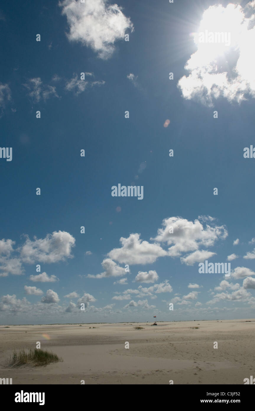 Allemagne, Northsea, Amrum, vue du paysage ensoleillé Banque D'Images