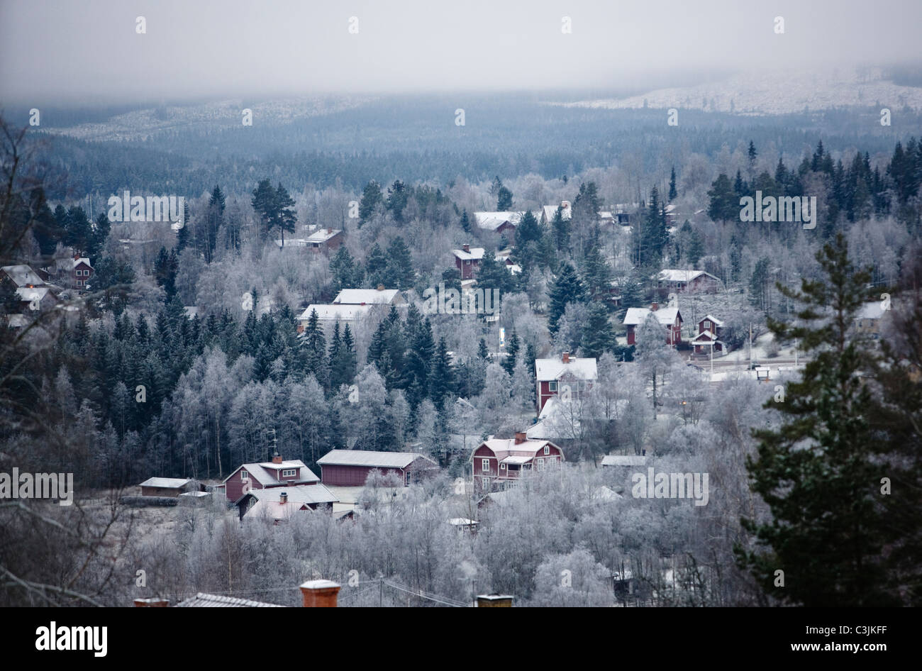 Paysage d'hiver en milieu rural Banque D'Images