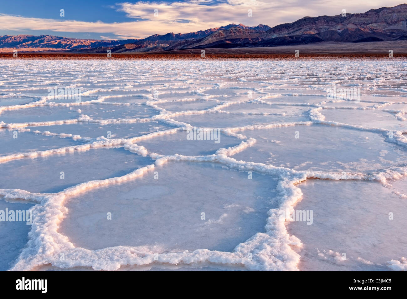 Les précipitations rares remplit les polygones de sel à Badwater Basin in California's Death Valley National Park. Banque D'Images
