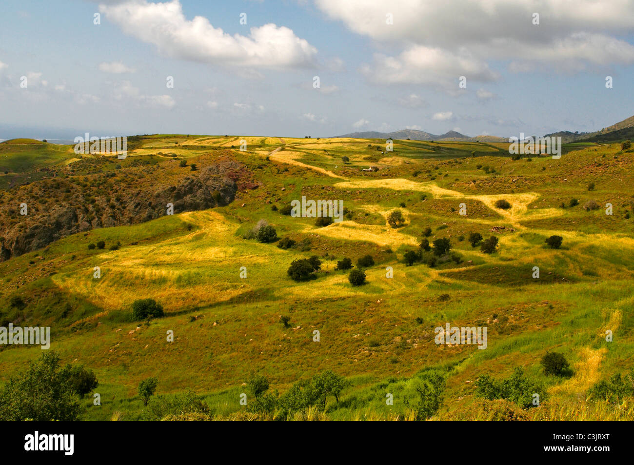 Le paysage de colline sauvages et accidentées de la zone de conservation de la péninsule d'Akamas Banque D'Images