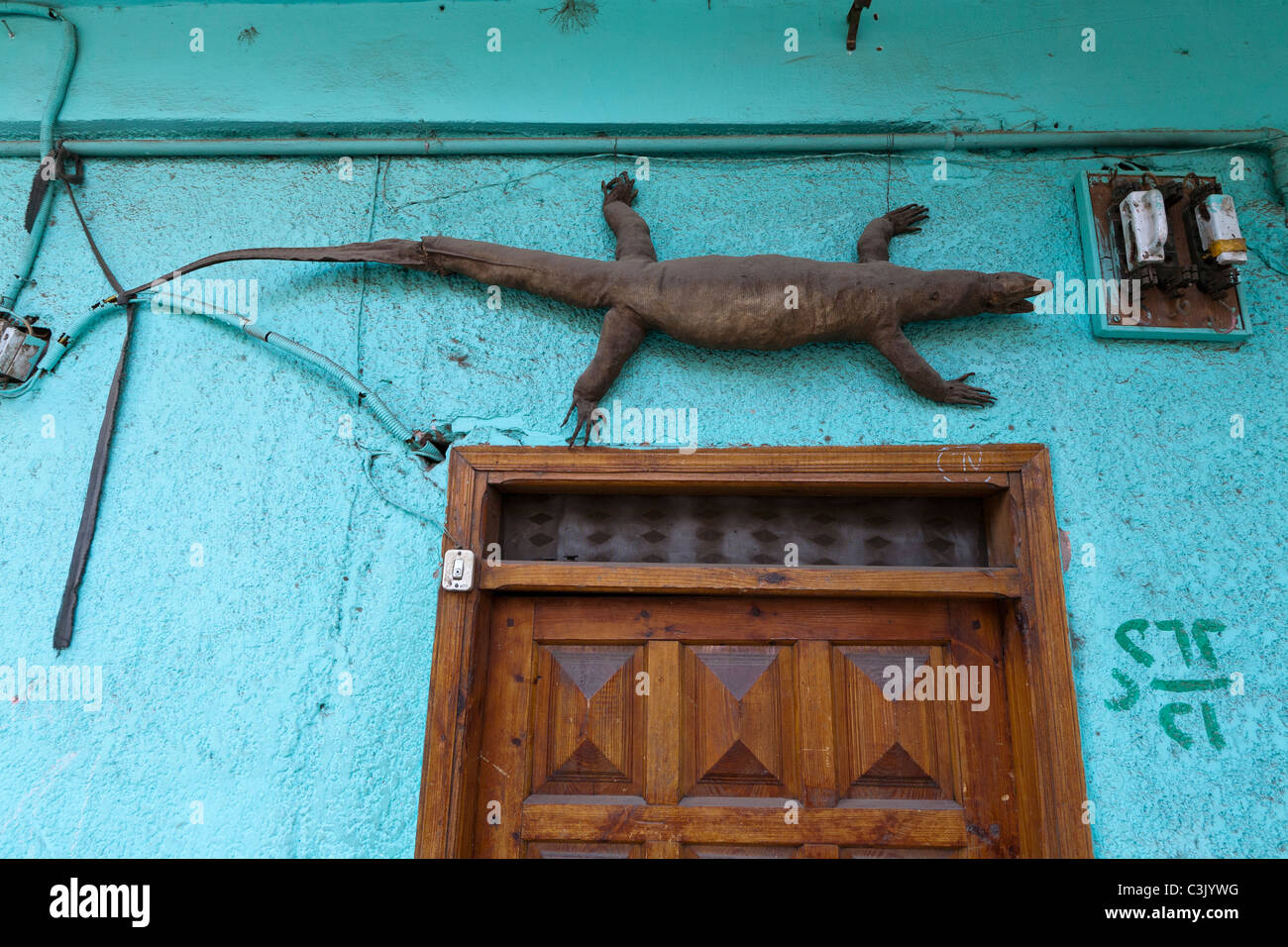 Reptile momifié sur porte en Haute Egypte, l'Afrique. Banque D'Images