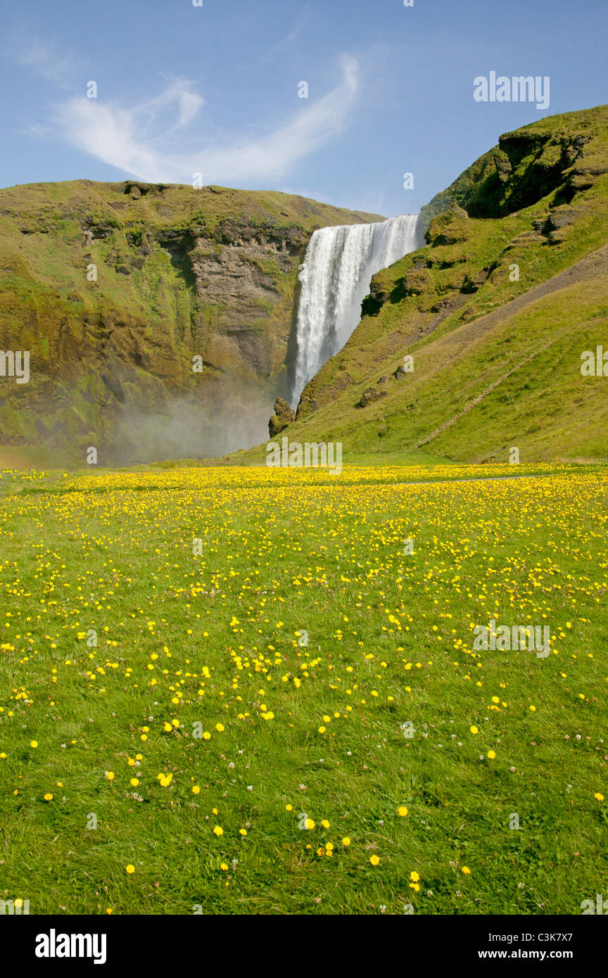 Chute d'eau en Islande Banque D'Images Chute d'eau en Islande Banque D'Images