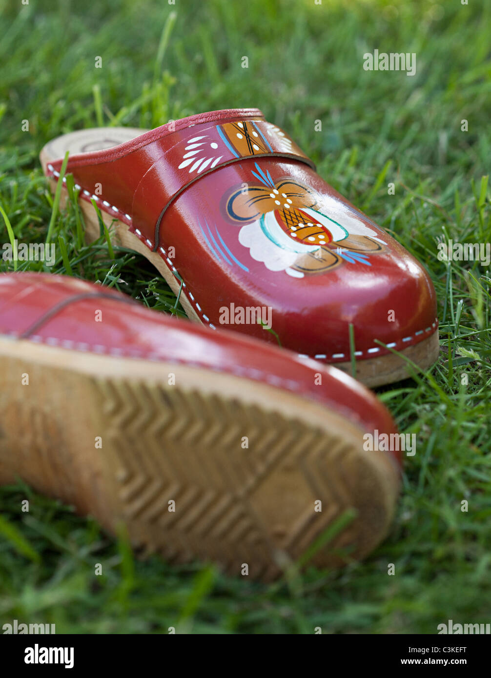 Paire de sabots sur grass, close-up Banque D'Images