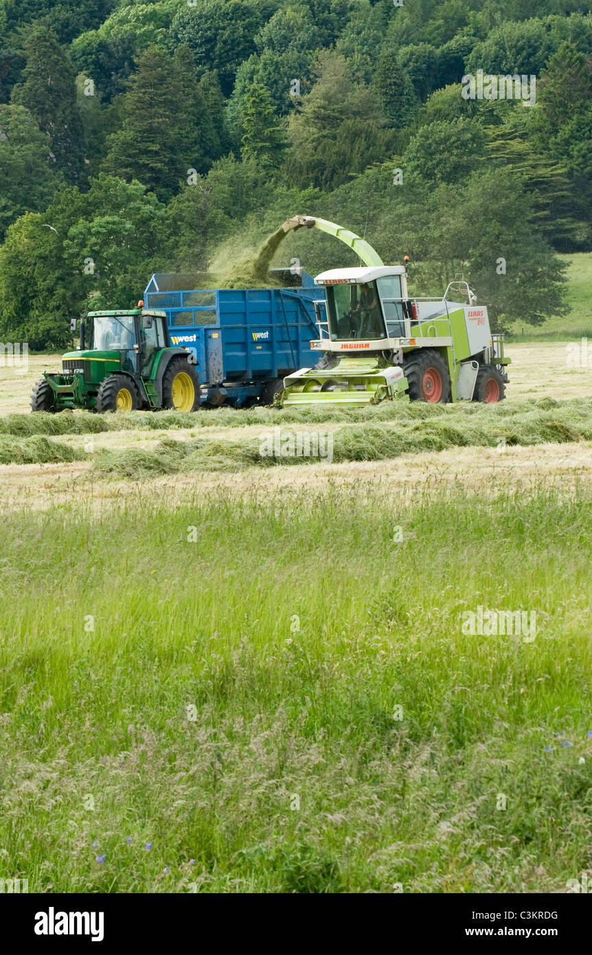 1 tracteur et remorque John Deere travaillant dans les champs agricoles, roulant le long de l'ensileuse Claas récoltant de l'herbe coupée (ensilage) - Yorkshire, Angleterre, Royaume-Uni. Banque D'Images