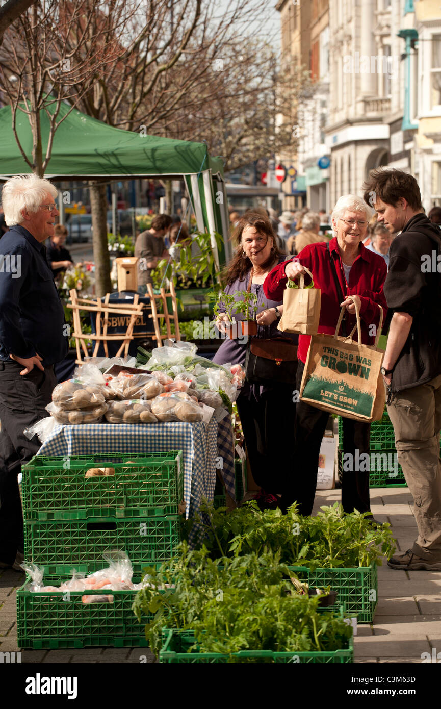 Matin de printemps - les gens d'acheter des fleurs et plantes dans un marché de rue, Aberystwyth Wales UK Banque D'Images