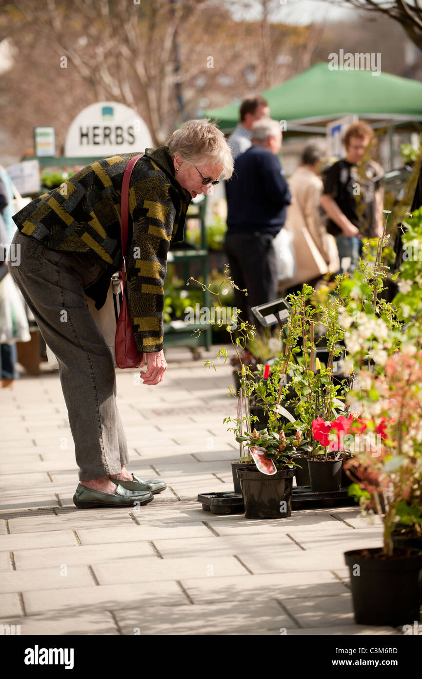 Matin de printemps - les gens d'acheter des fleurs et plantes dans un marché de rue, Aberystwyth Wales UK Banque D'Images