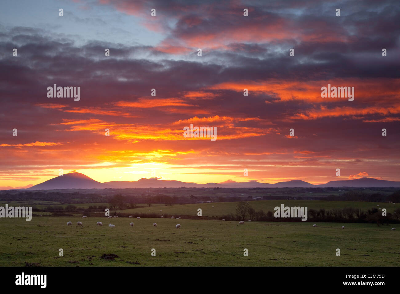 Coucher de soleil sur la montagnes Nephin Beg, Comté de Sligo, Irlande. Banque D'Images