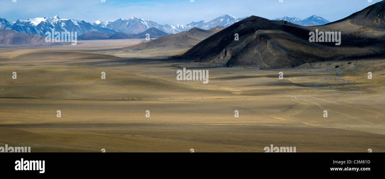 Vaste désert Mongolien dans savannah Banque D'Images