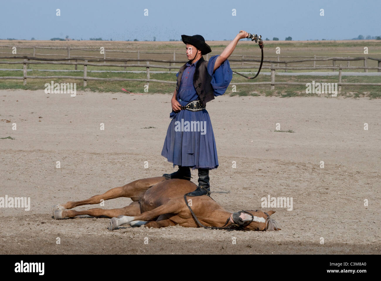 La Hongrie, Kalocsa. Cowboy traditionnelle hongroise show à Bakodpuszta Equestrian Center. Banque D'Images