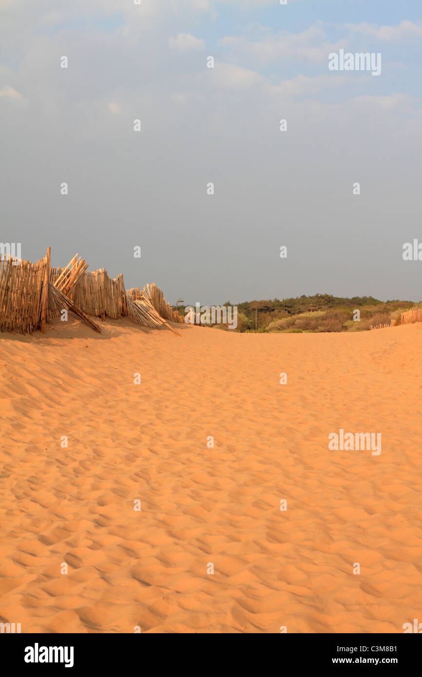 Dunes de sable et de l'escrime sur Formby Point près de Southport, Merseyside, Lancashire, England, UK. Banque D'Images