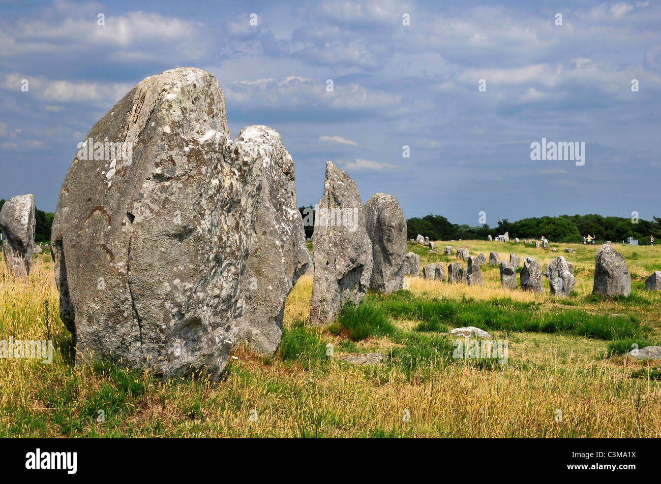 Célèbre menhirs de Carnac, dans le morbihan en Bretagne dans le nord-ouest de la France Banque D'Images