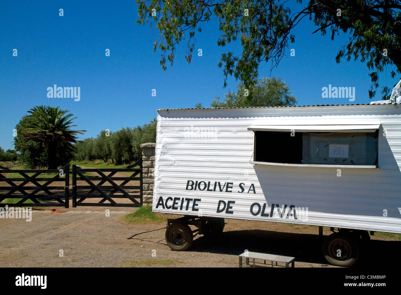 L'huile d'olive vente vendeur routière près de Tres Aroyos, Argentine. Banque D'Images