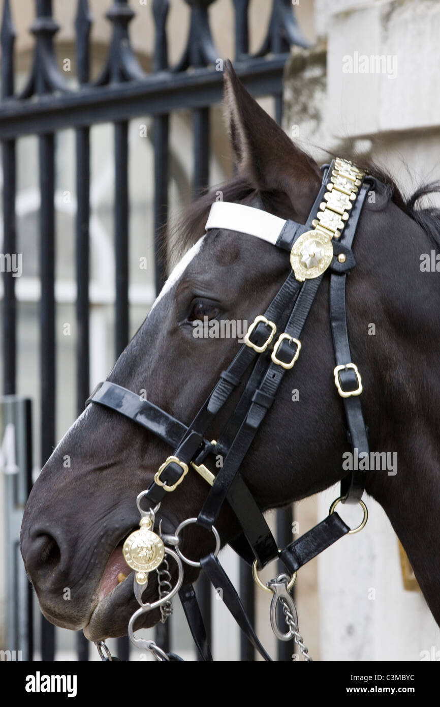 Horse parade ground Horseguards à sentry Banque D'Images