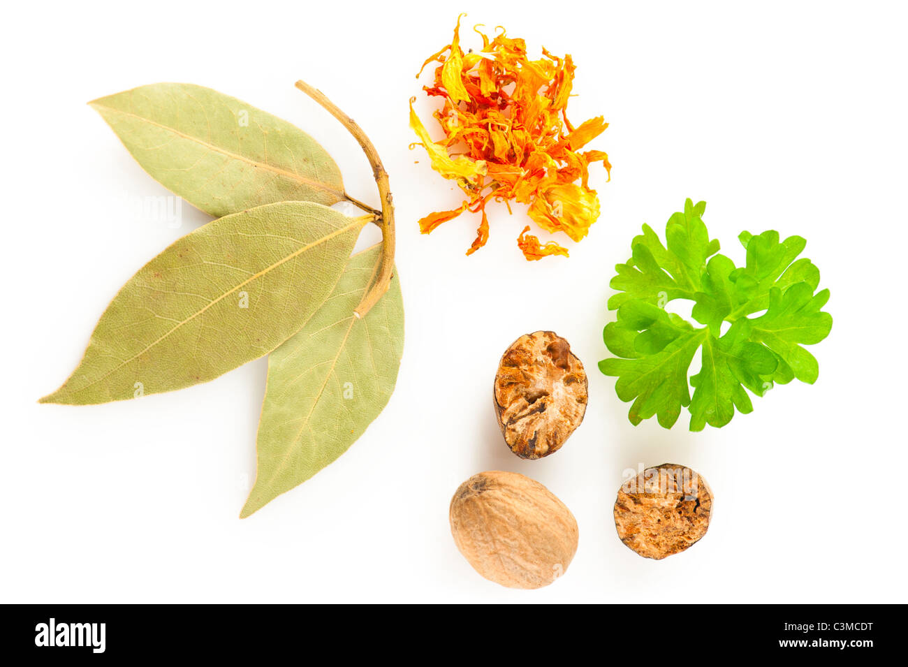 Les épices. Mélange de différentes plantes : le safran, le laurier, la muscade et le persil frais sur fond blanc Banque D'Images