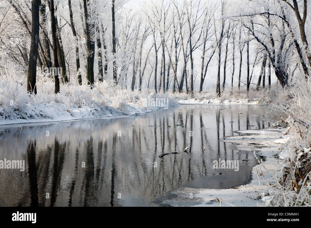 Petite rivière Danube en hiver - la Slovaquie de l'ouest Banque D'Images