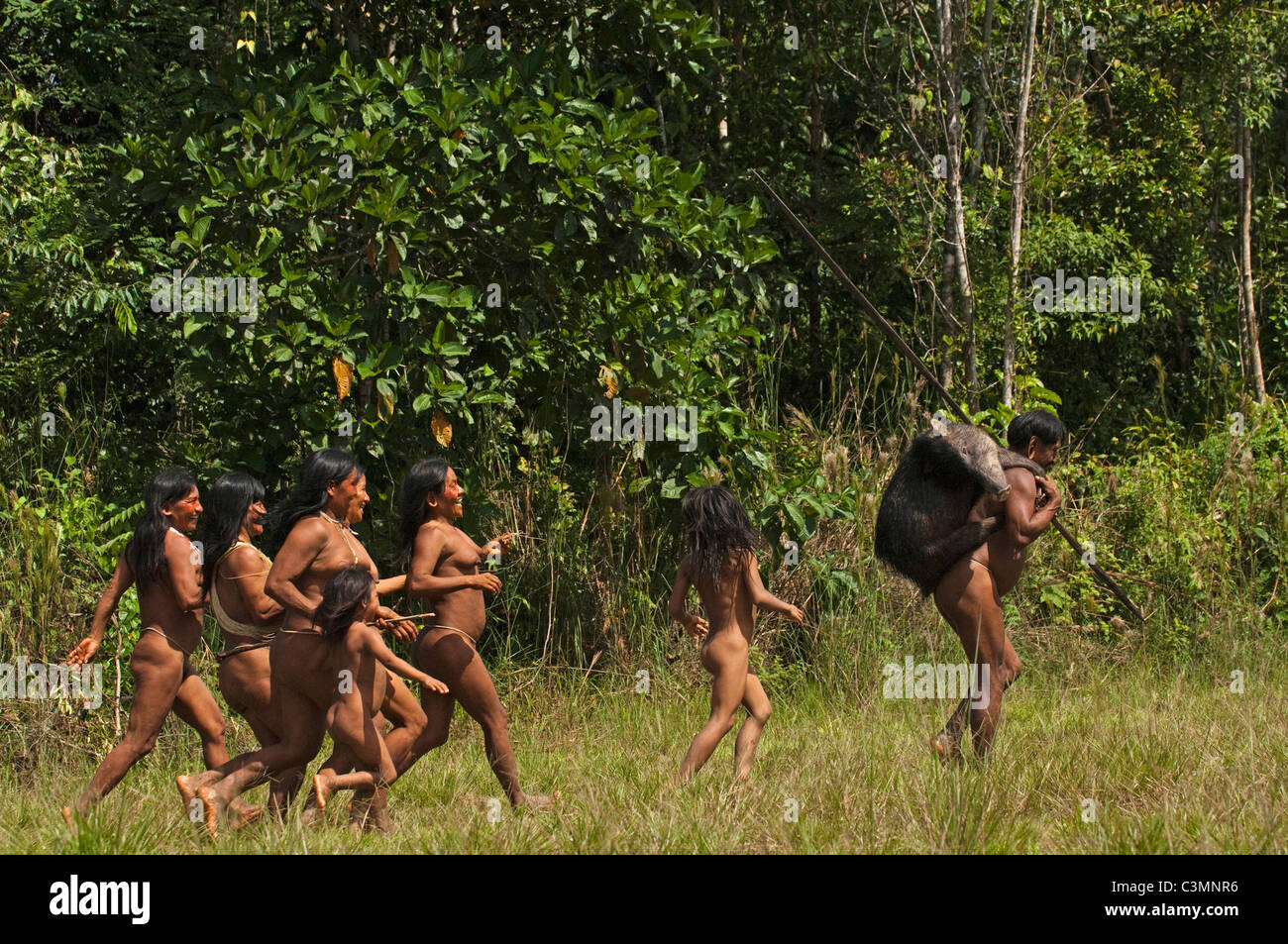 Les Indiens Huaorani, Menewa Wane, exerçant son activité sous la maison un blanc-lipped pécari qu'il chassait avec sa lance Banque D'Images