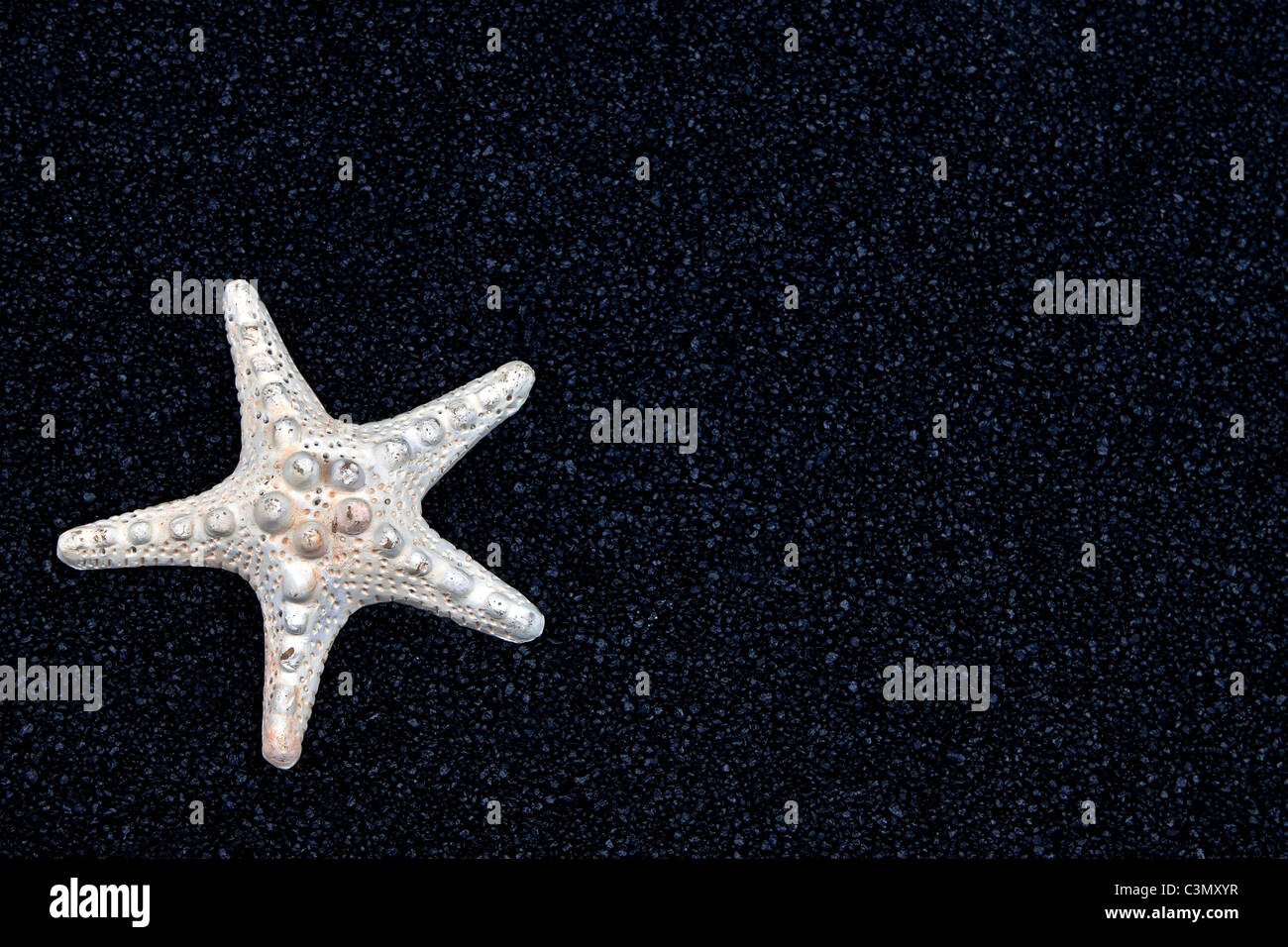 Une étoile de sable noir sur blanc Banque D'Images
