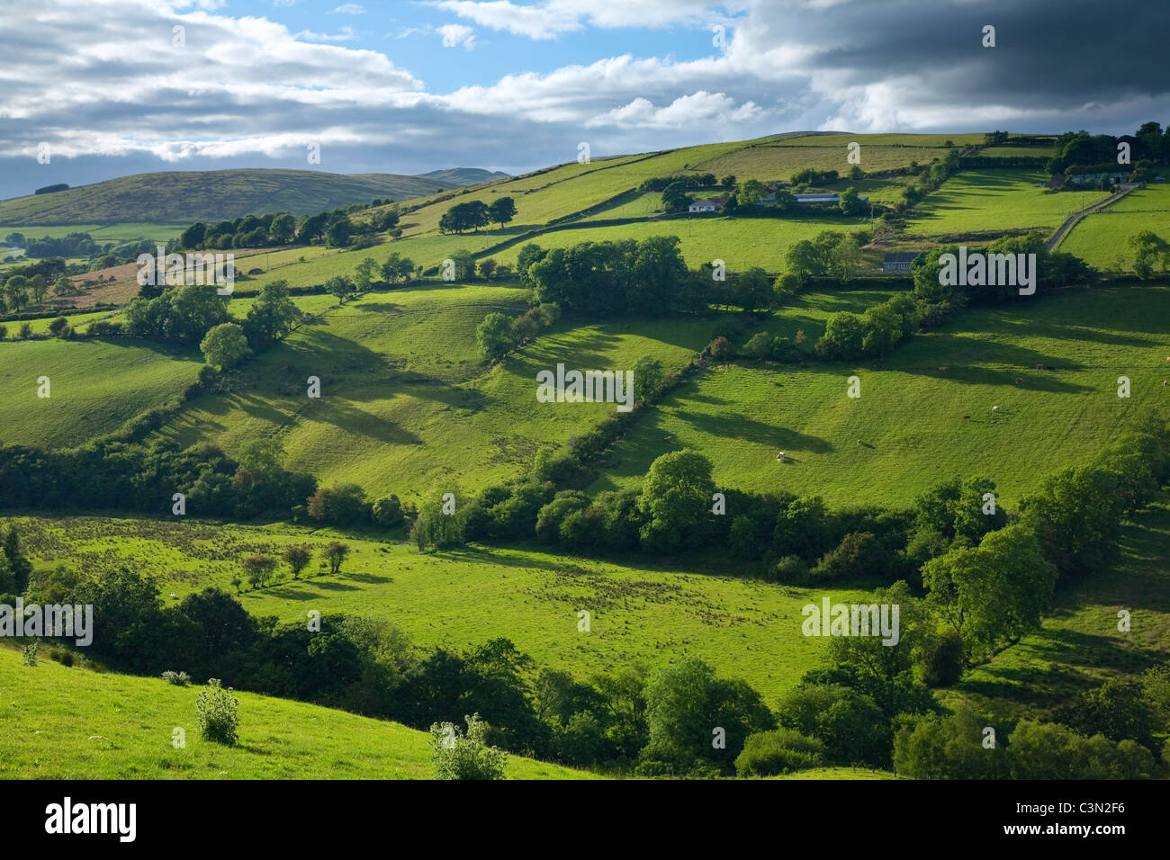 Champs d'été dans la vallée de montagnes Sperrin, Glenelly, comté Tyrone, Irlande du Nord. Banque D'Images