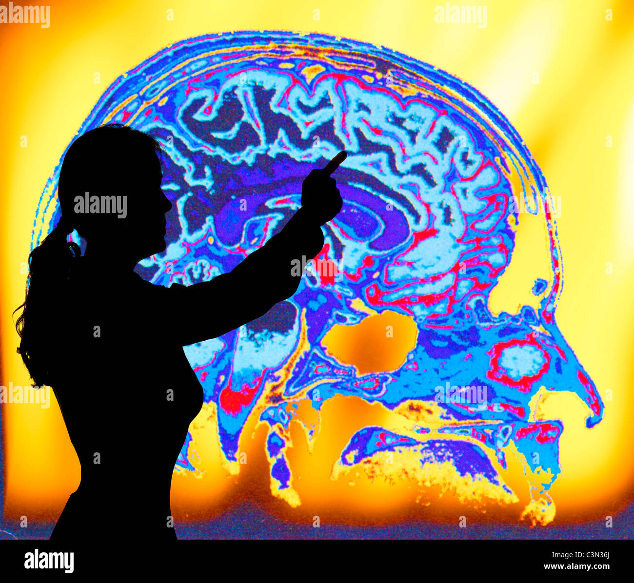 Teacher pointing à projection d'un cerveau humain Banque D'Images
