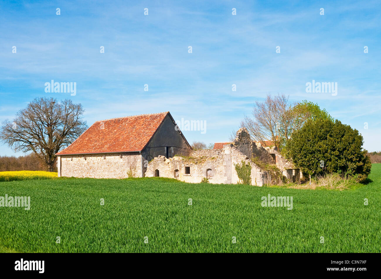 Bâtiments agricoles abandonnés / partie Projet de restauration - France. Banque D'Images