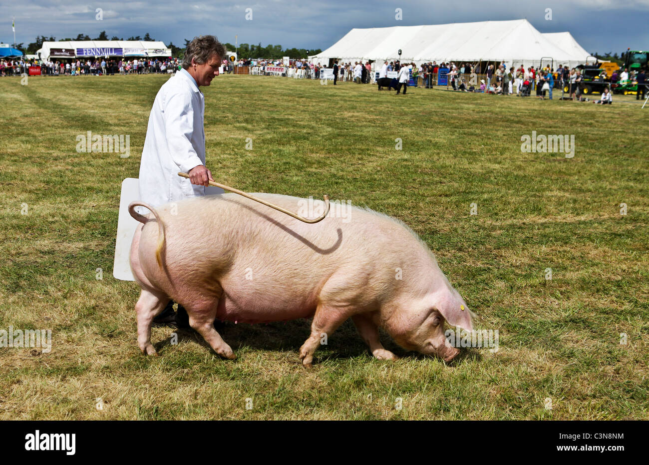 Utiliser l'image d'édition d'un concours de porcs et son propriétaire au South Suffolk Show tenu à Ampton, Suffolk, le 8 mai 2011 Banque D'Images