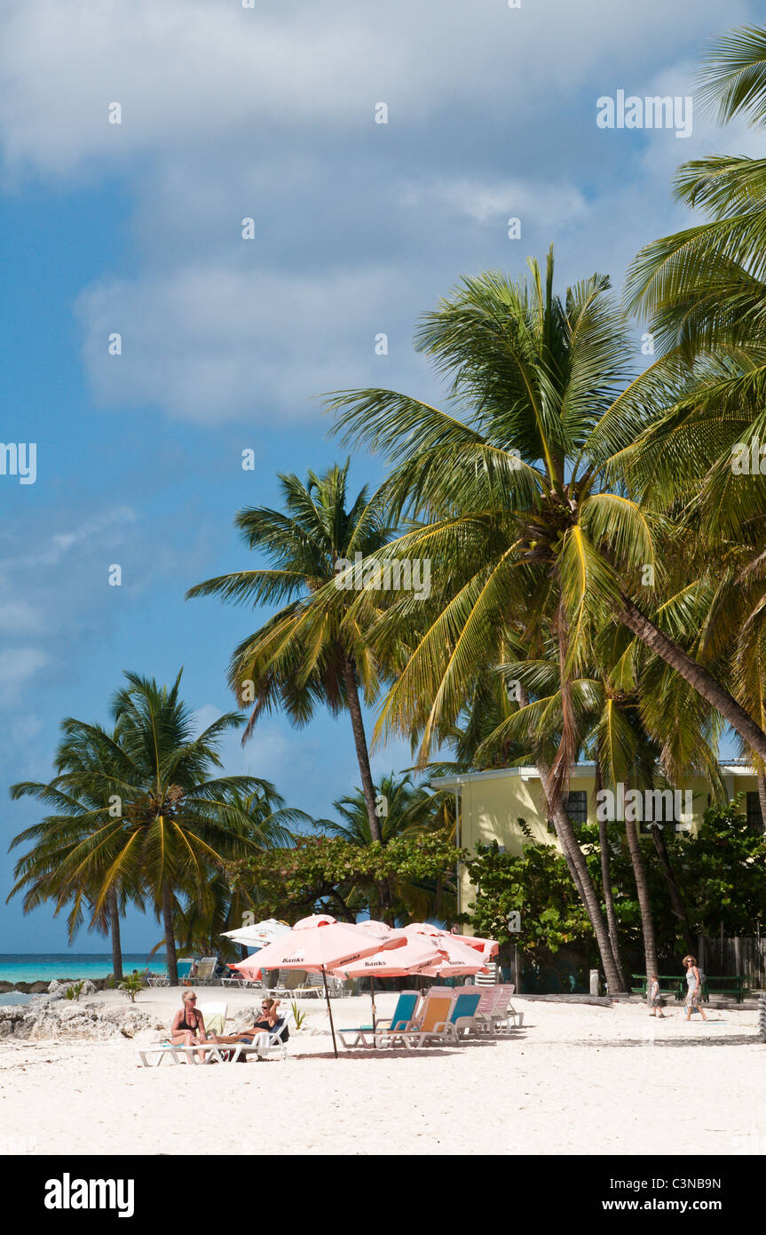 Parasols de plage Carib Beach, Barbade, Caraïbes. Banque D'Images